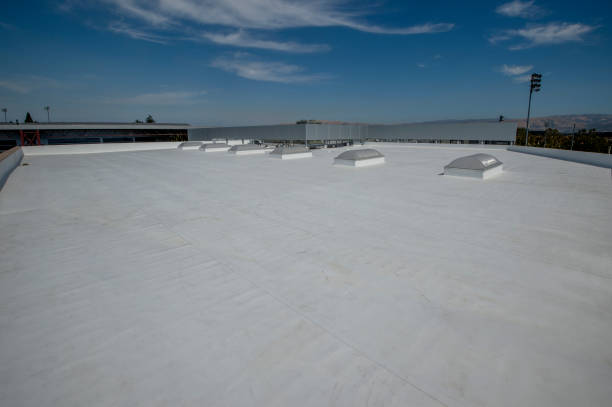 Best Asphalt Shingle Roofing  in Manteno, IL