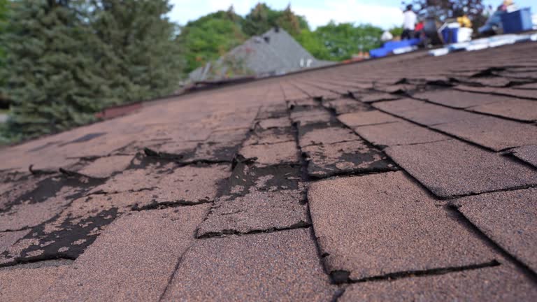 Best Sheet Metal Roofing  in Manteno, IL