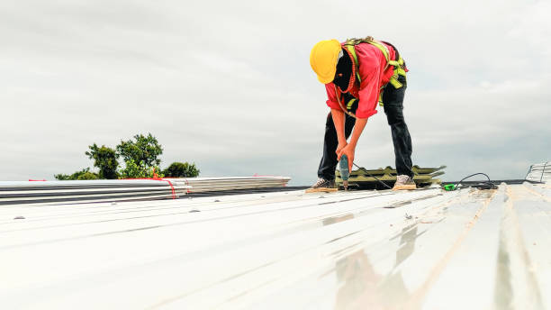 Best Gutter Installation and Repair  in Manteno, IL