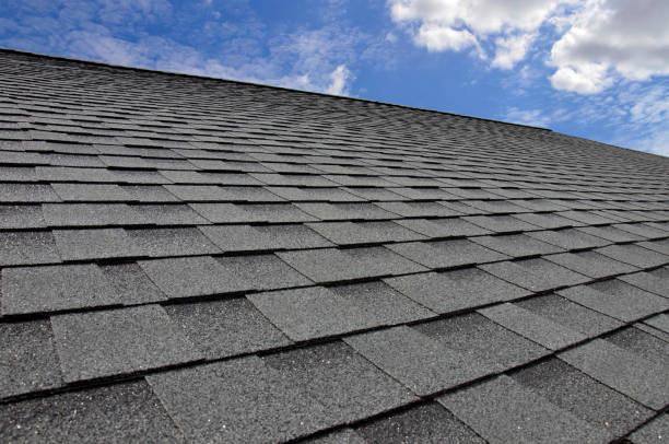 Best Skylight Installation and Repair  in Manteno, IL